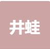 信息系統(tǒng)相關(guān)領(lǐng)域服務(wù)