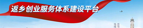 返鄉(xiāng)創(chuàng)業(yè)服務(wù)體系建設(shè)平臺(tái)